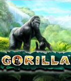 Интригующий игровой автомат Gorilla играть оналйн