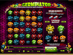 Внешний вид автомата Germinator