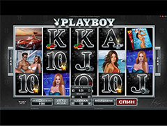 Внешний вид игрового автомата Playboy